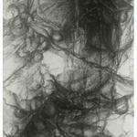 Hidden Life I, 2010, 52 x 20 inches, 133 x 51 cm, graphite on rives lightweight