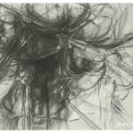 Natural Details, 2008, 26 x 40 inches, 66 x 101 cm, graphite on rives cover