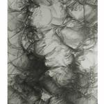 Natural Details II, 2009, 33 x 22 inches, 84 x 56 cm, graphite on arches