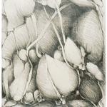 Rock Shelter III, 1985, 26 x 20 inches, graphite on rives lightweight