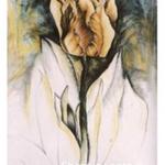 Tulip Series III, 1987, 30 x 24 inches, soft pastel on arches