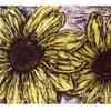 Daisies, 1985, 16 x 28 inches, woodcut
